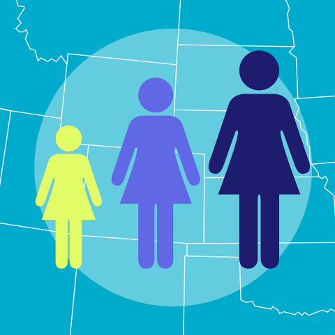 Pregnancies, Births, Abortions in US report preview image
